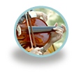 Music in Italy