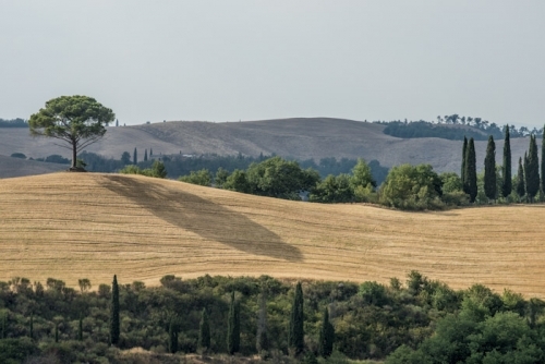 Outdoor Weddings in Tuscany